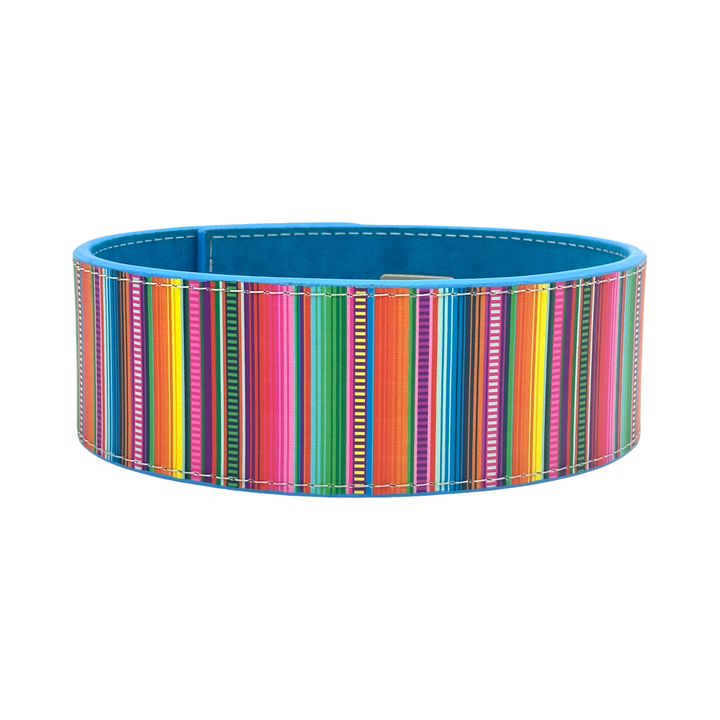4" 10mm Serape PAL V2 Lever Belt
