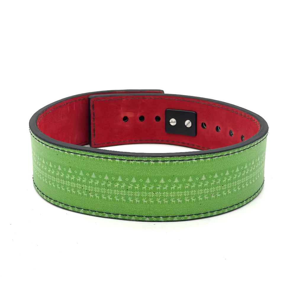 DISCOUNTED - 3" 10mm Lever Lifting Belt
