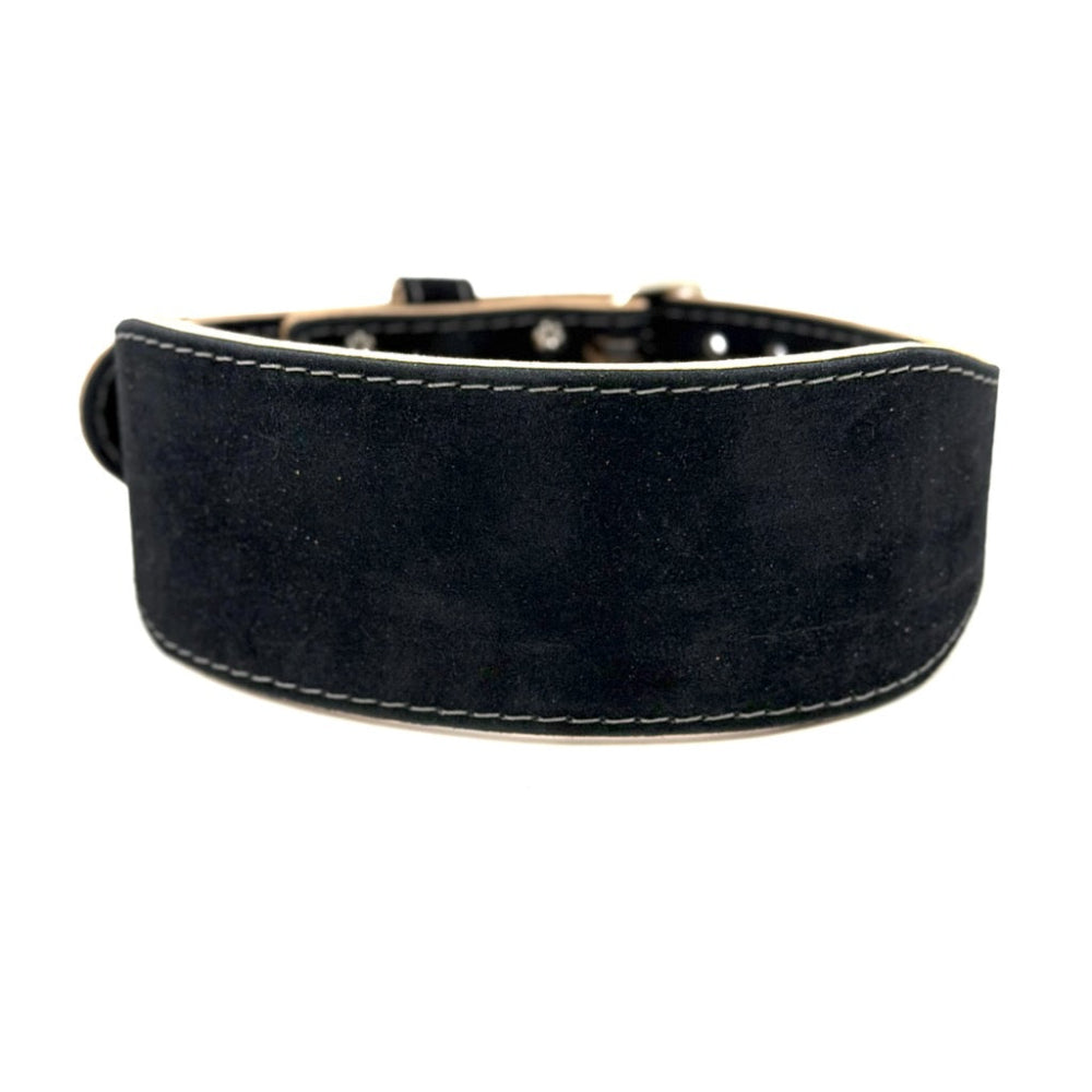 DISCOUNTED - 4" 10mm Training Belt