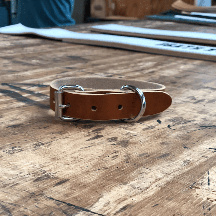 Pioneer Treated Dog Collar