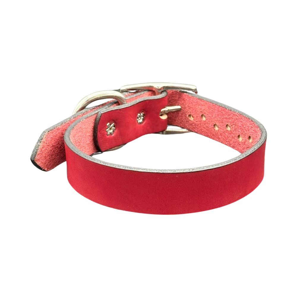 Red Hand Dyed dog collar-Back