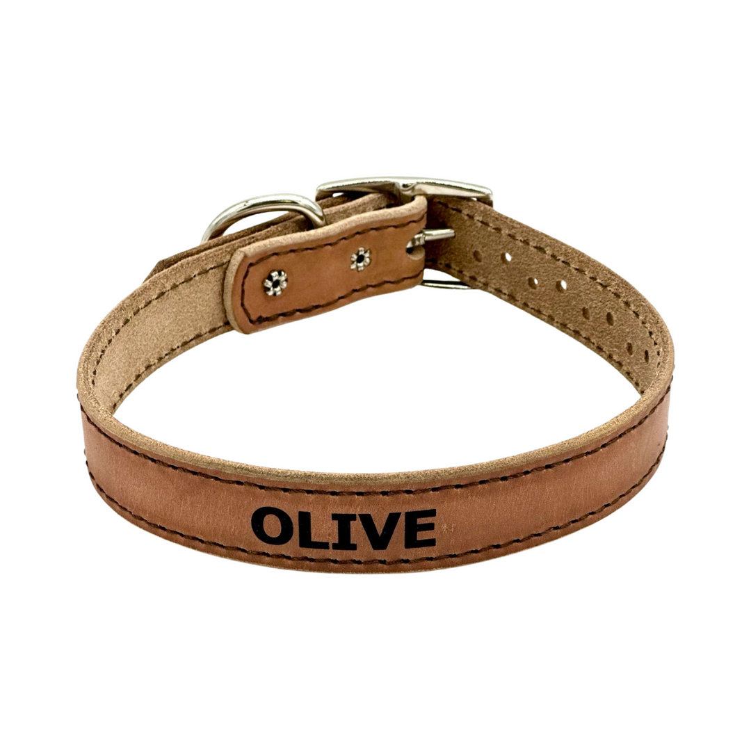 Treated Leather Dog Collar