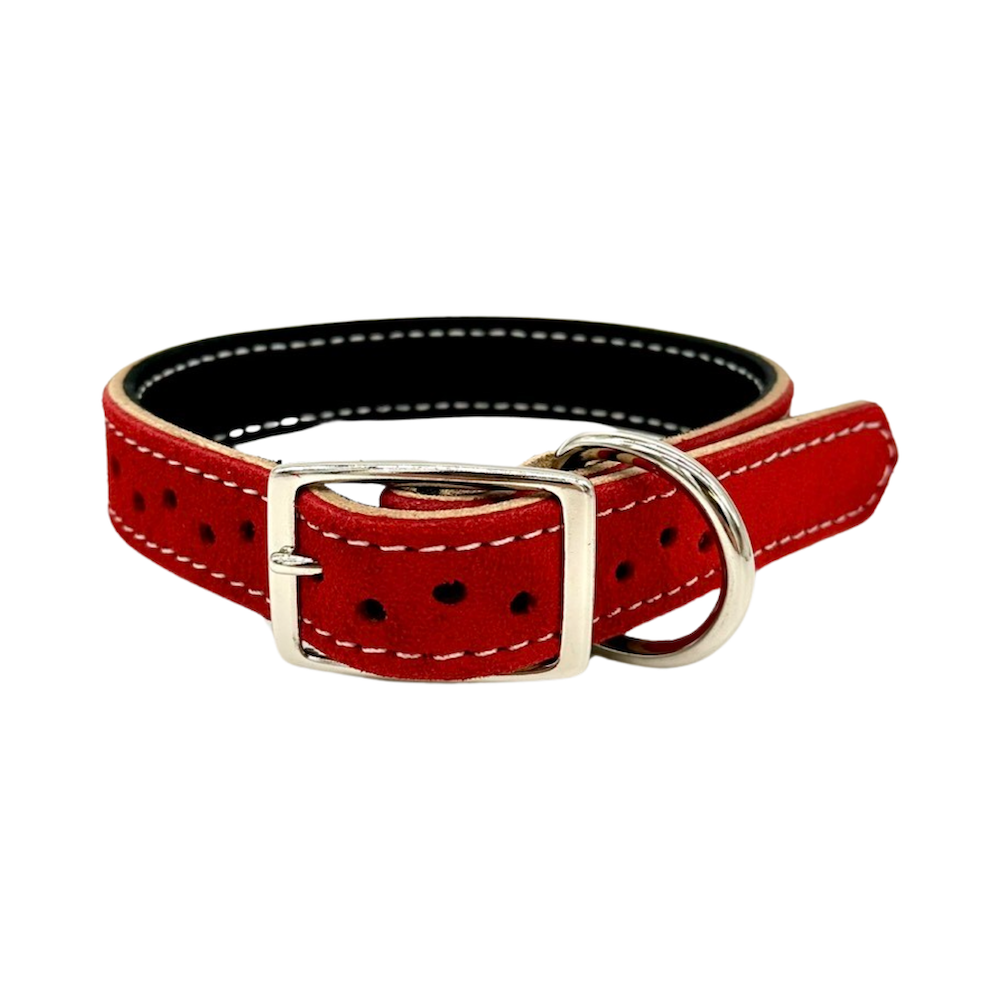 Pioneer Double Suede Dog Collar